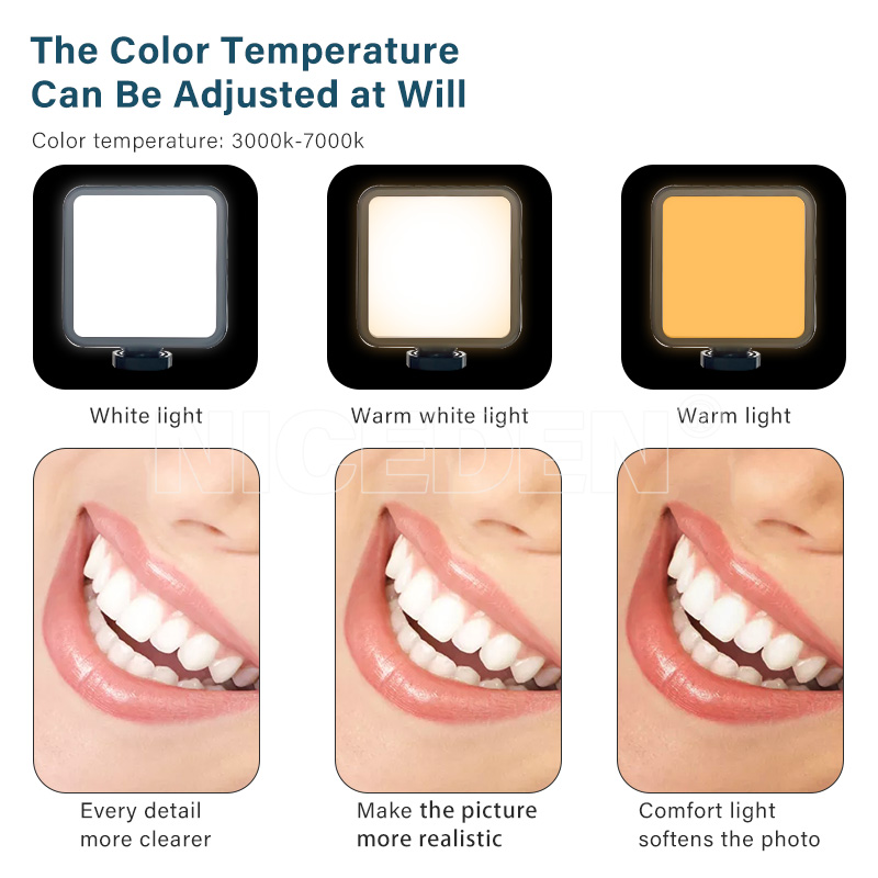 Niceden Dental portable Flash  - Photography Lighting Portable recension och pris