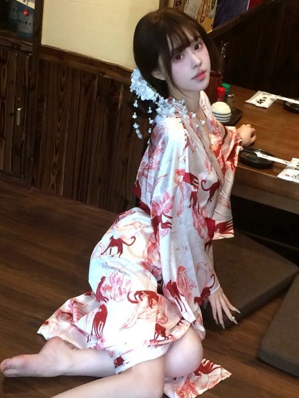 New Chinese Style Sleepwear Ha - Photography Lighting Style recension och pris