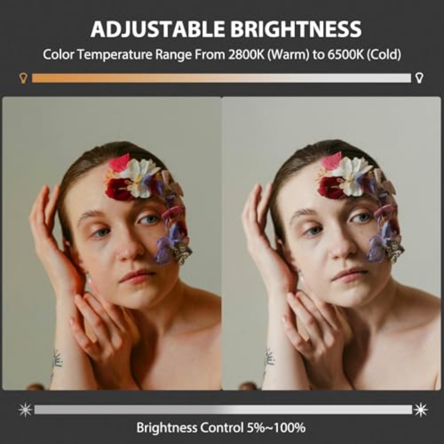 60W COB LED Video Light Handhe - Photography Lighting Portable recension och pris