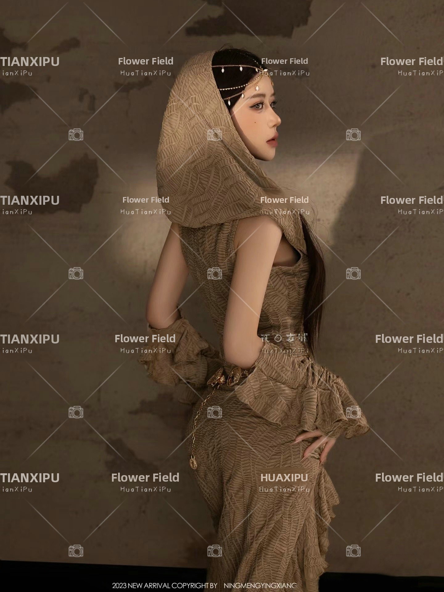 New Desert  Princess Style Pho - Photography Lighting Style recension och pris
